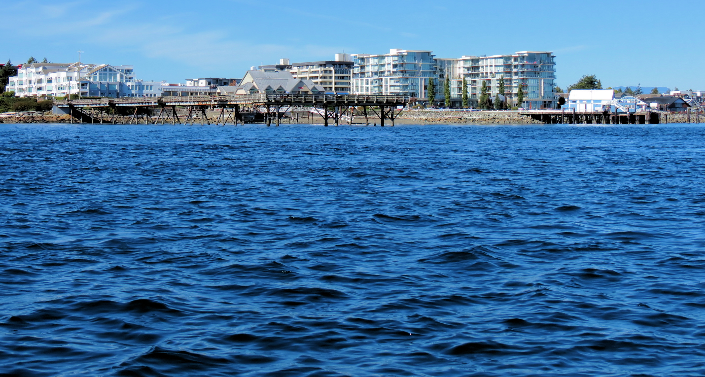 Sidney Bookkeeping Background